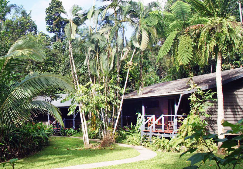 Daintree Cabins Accommodation