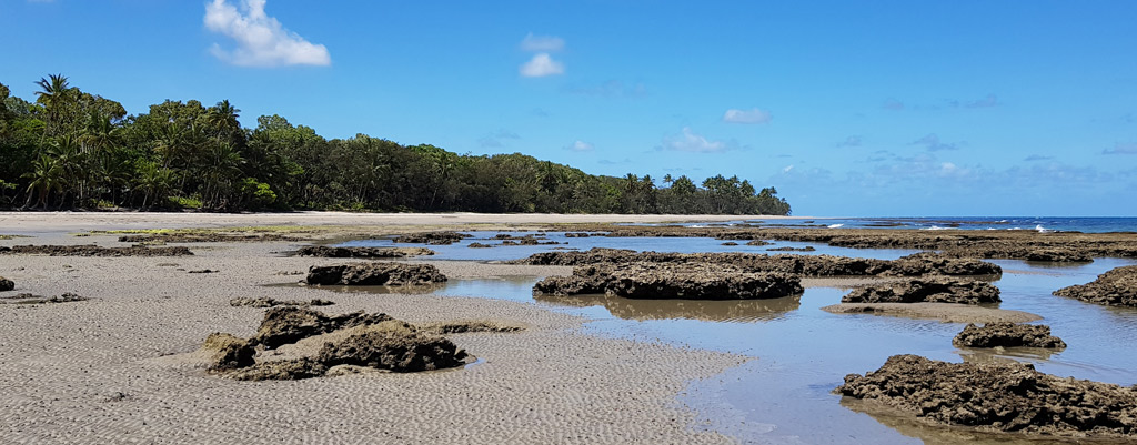 Coconut-Beach-Daintree