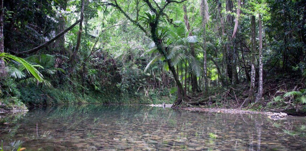 Daintree Seasons and Weather